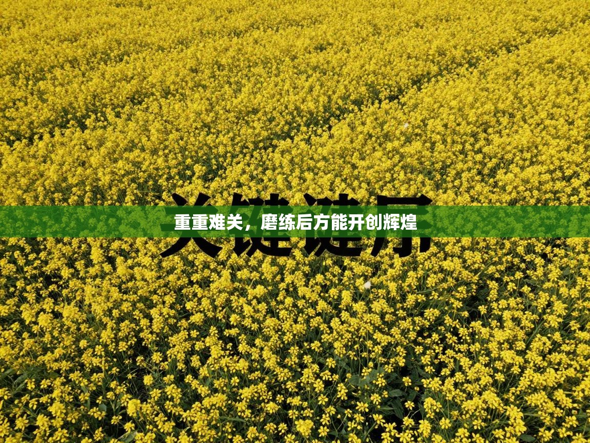 重重难关，磨练后方能开创辉煌  第1张