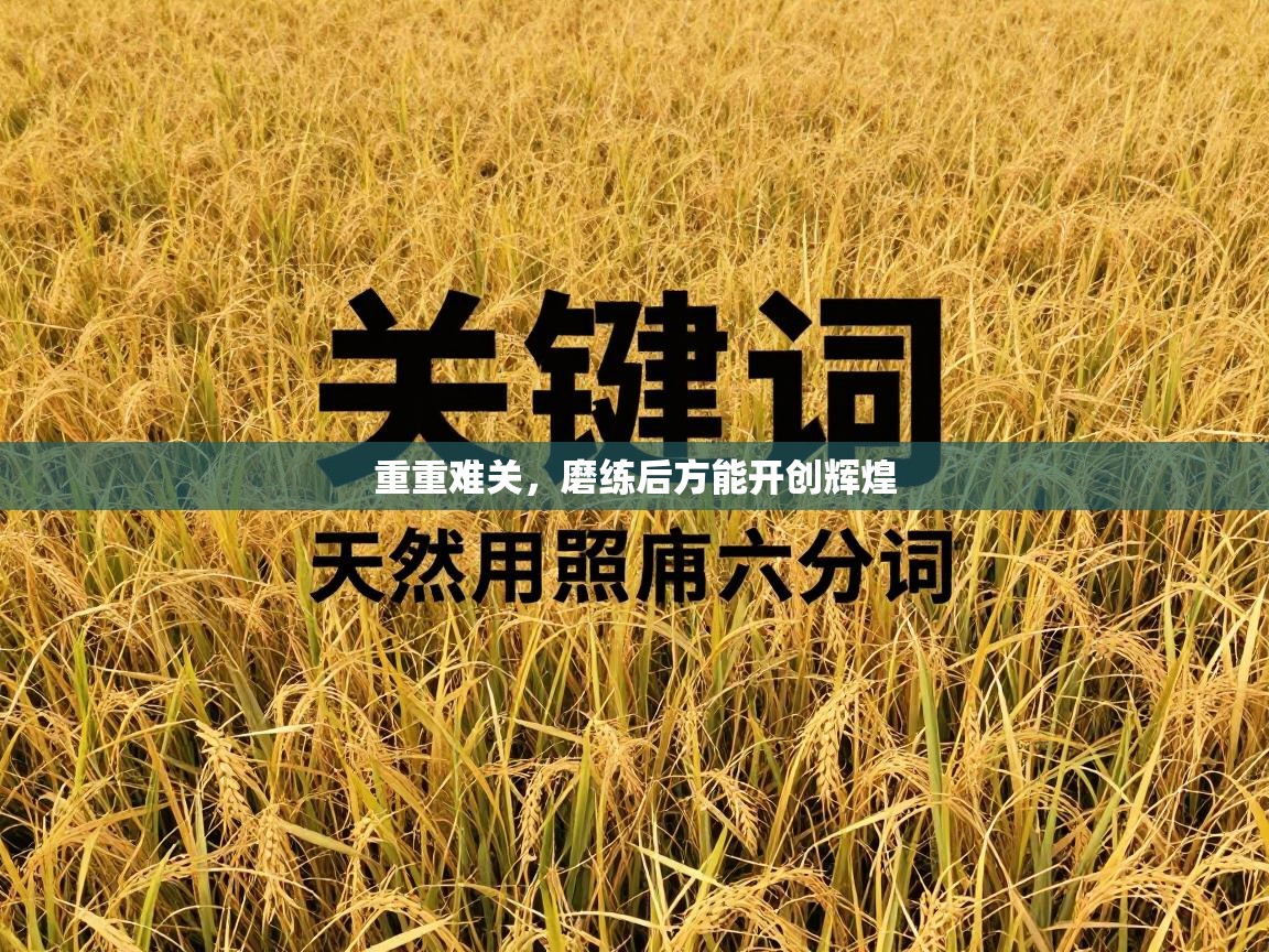 重重难关，磨练后方能开创辉煌  第2张