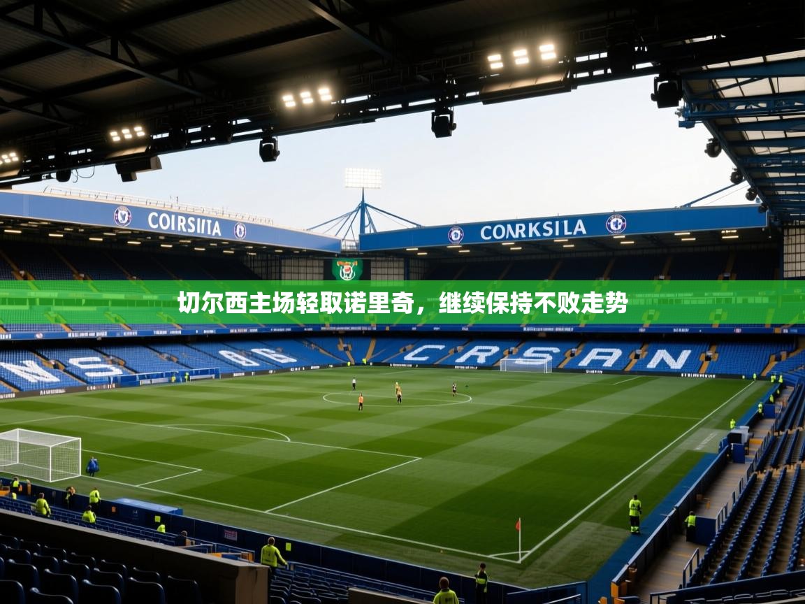 切尔西主场轻取诺里奇，继续保持不败走势  第2张