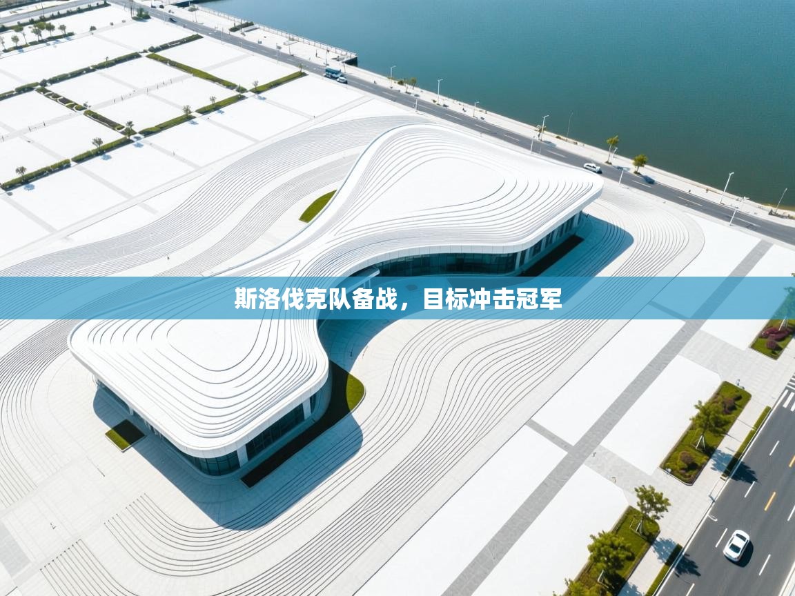 斯洛伐克队备战，目标冲击冠军  第1张