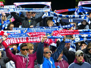 半岛app官网-西悉尼流浪者主场氛围火爆，球迷热情助阵