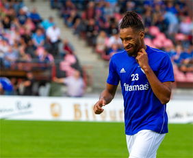 匈牙利队王者归来！欧预赛再创佳绩